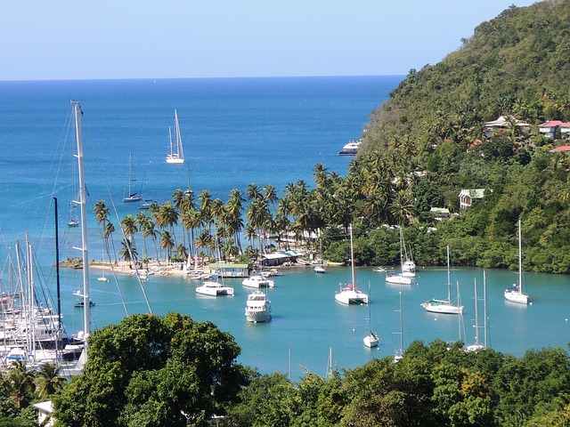 St. Lucia Landscape